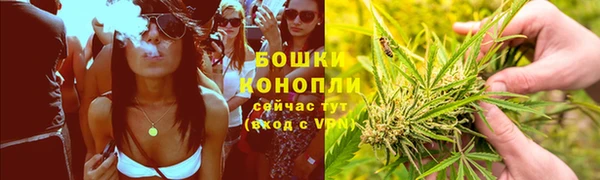 spice Кинешма