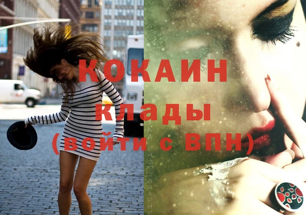 трава Карпинск