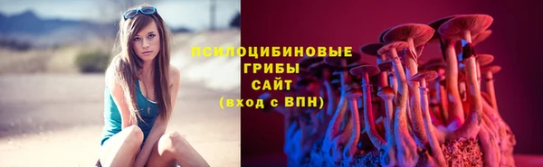 МДПВ Киреевск