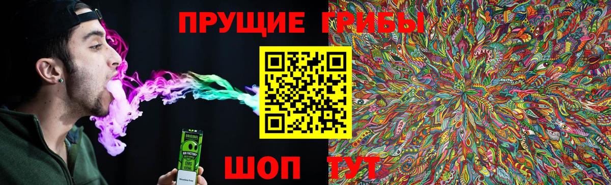 Кувандык  Псилоцибиновые грибы ЛСД  Вход с VPN 