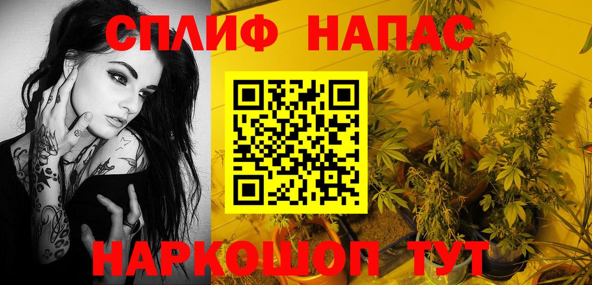 Каннабис сатива  МАРИХУАНА план  МАРИХУАНА Amnesia  Вход с VPN  Канабис Amnesia  Кувандык 